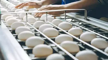 تراجع أسعار البيض في الأسواق اليوم، الجمعة 13 يونيو 2025 (من مصدر رسمي)