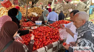 تراجع أسعار الليمون وارتفاع أسعار الثوم.. أسعار الخضروات في أسوان اليوم الخميس