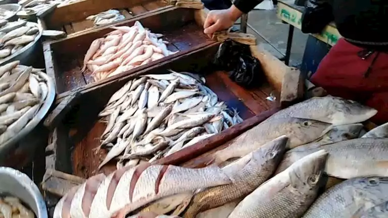 تراجع أسعار المعكرونة: أسعار الأسماك والمأكولات البحرية في سوق العبور بتاريخ 3-6-2025
