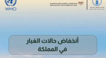 تراجع حالات الغبار في المملكة بنسبة 40% خلال مايو 2025: التفاصيل