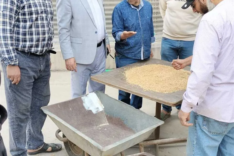 تسليم 565 ألف طن من القمح في محافظة الوادي الجديد تسليم 565 ألف طن من القمح في محافظة الوادي الجديد