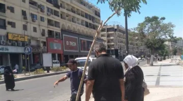 تعزيز جهود النظافة العامة وإزالة العوائق في أسوان