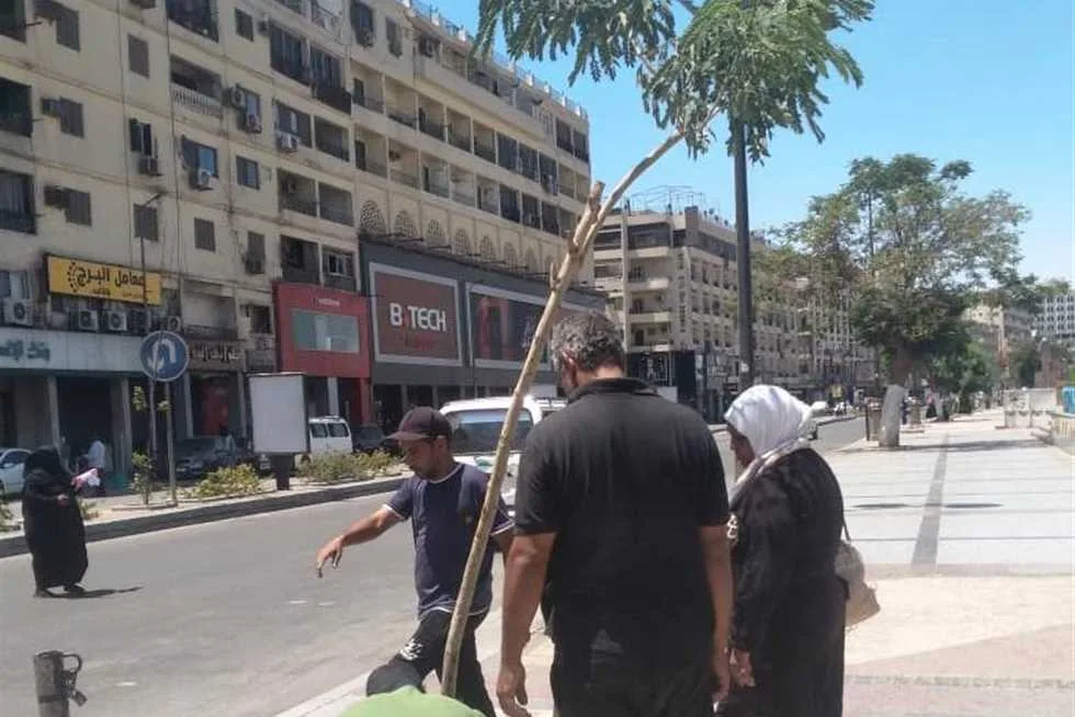 تعزيز جهود النظافة العامة وإزالة العوائق في أسوان تعزيز جهود النظافة العامة وإزالة العوائق في أسوان