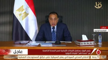 تفاصيل اتفاقية عقد مشروع استثماري كبير بين مصر والصين لتنفيذ مشاريع جديدة
