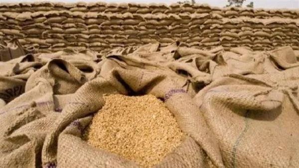 تقديم 309 آلاف طن من القمح المحلي إلى صوامع وشون محافظة البحيرة تقديم 309 آلاف طن من القمح المحلي إلى صوامع وشون محافظة البحيرة