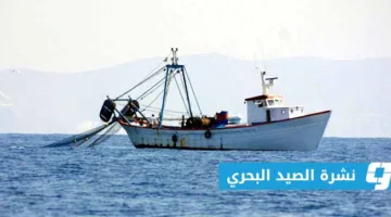 تقرير الصيد البحري على الساحل الليبي (الخميس 5 يونيو 2025)