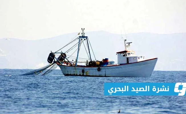 تقرير الصيد البحري على الساحل الليبي (الخميس 5 يونيو 2025) تقرير الصيد البحري على الساحل الليبي (الخميس 5 يونيو 2025)