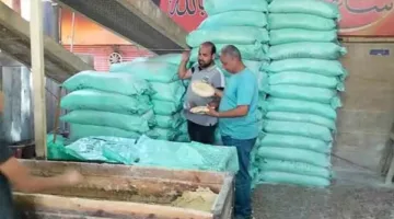 «تموين الإسكندرية» تطلق حملات واسعة لتنظيم الأسواق وضمان توفر السلع الأساسية