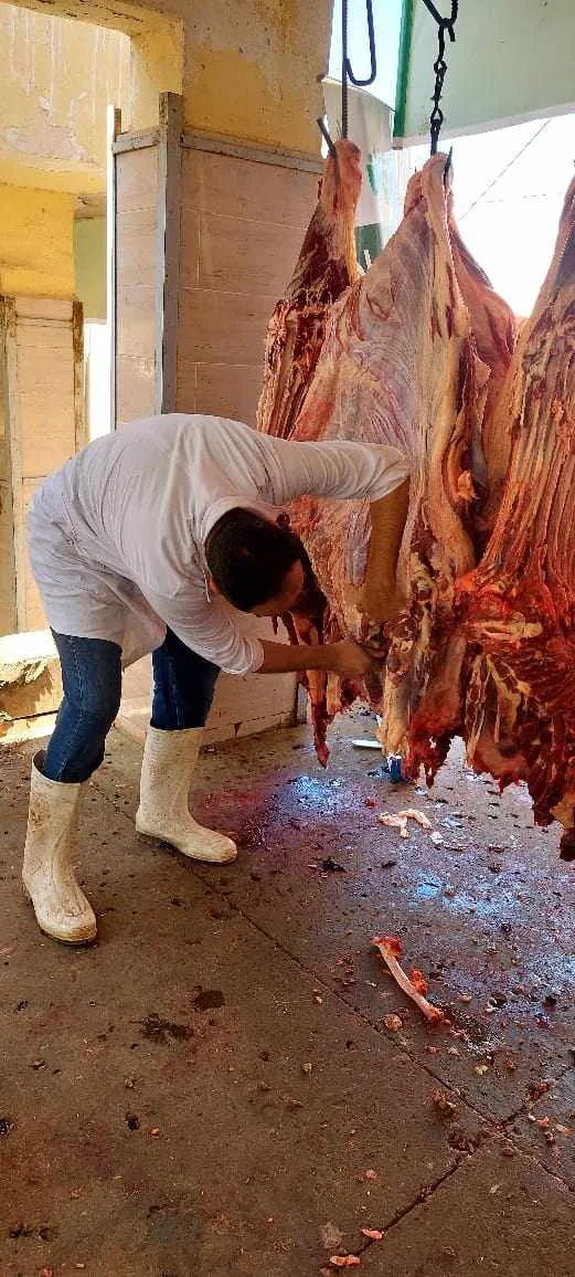 محافظ الجيزة: ذبح 2202 أضحية في مسالخ المحافظة خلال اليومين الأول والثاني من عيد الأضحى محافظ الجيزة: ذبح 2202 أضحية في مسالخ المحافظة خلال اليومين الأول والثاني من عيد الأضحى