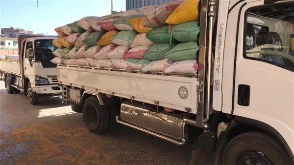 توصيل 272 ألف طن من القمح إلى مواقع التخزين في محافظة بني سويف توصيل 272 ألف طن من القمح إلى مواقع التخزين في محافظة بني سويف