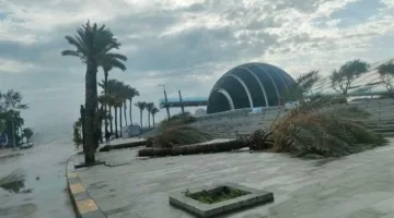 «توقعات الأسبوع للطقس».. انخفاض طفيف في درجات الحرارة.. والأرصاد تحذر من ثلاث ظواهر جوية