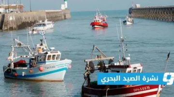 توقعات الطقس على الساحل الليبي (الأحد 15 يونيو 2025)