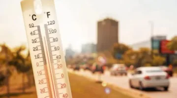 توقعات الطقس ليوم السبت 14 يونيو 2025: حرارة مرتفعة وضباب، والع最高 في القاهرة 37 درجة.