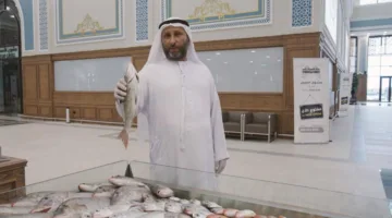 ثلاثة مشاريع جديدة في منطقة الشرقية من كلباء