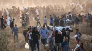 ثمانية فلسطينيين، من بينهم طفل، يُستشهدون برصاص الاحتلال بالقرب من مركز المساعدات غرب رفح