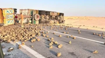 ثورة شاحنة محملة بالبنجر تعطل طريق تنيدة في الوادي الجديد