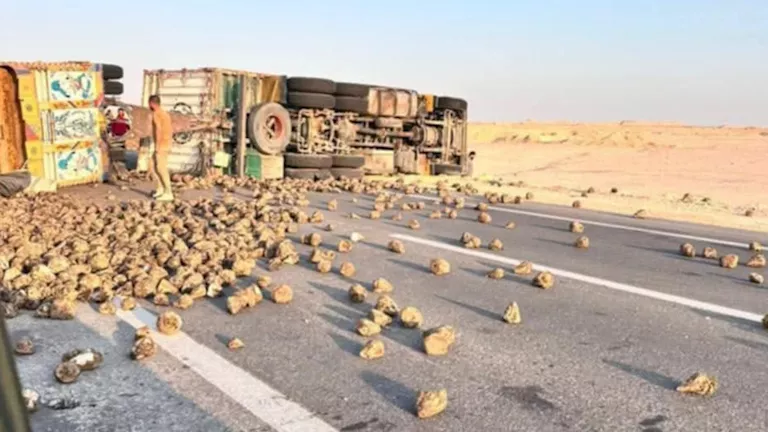 ثورة شاحنة محملة بالبنجر تعطل طريق تنيدة في الوادي الجديد