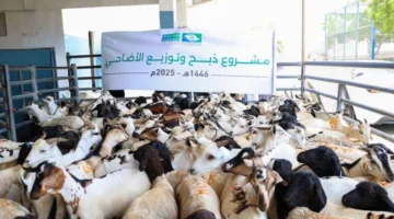 «جمعية الفجيرة الخيرية» تقدم لحوم الأضاحي لـ 26 ألف مستفيد