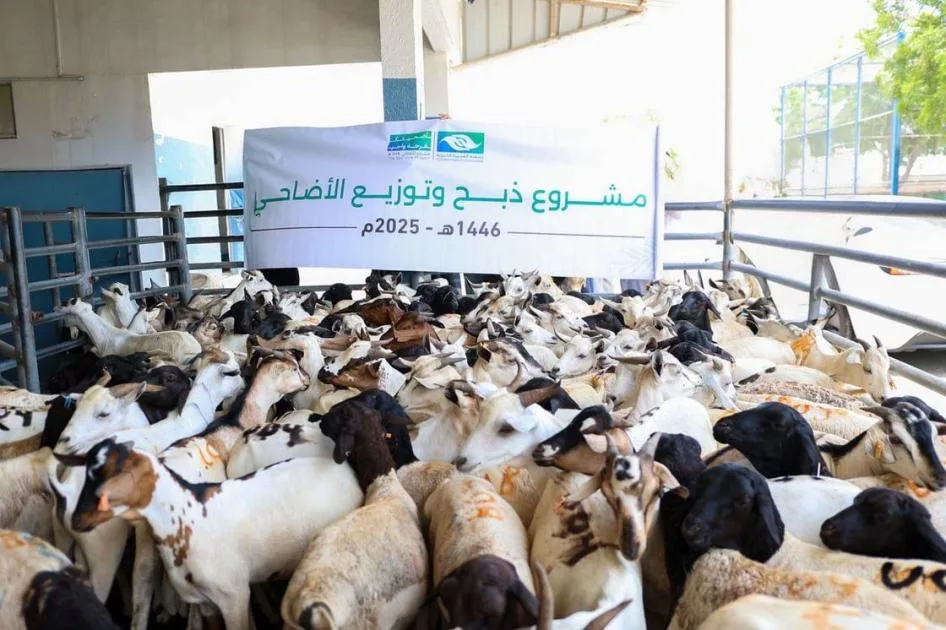«جمعية الفجيرة الخيرية» تقدم لحوم الأضاحي لـ 26 ألف مستفيد «جمعية الفجيرة الخيرية» تقدم لحوم الأضاحي لـ 26 ألف مستفيد