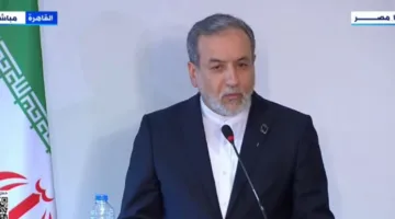 وزير الخارجية الإيراني: نقدر عاليا مساعي مصر وقطر لفرض هدنة في غزة