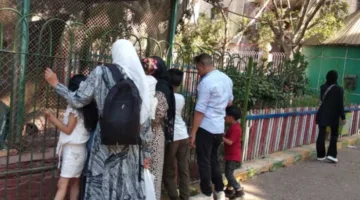 حديقة حيوان الزقازيق ترحب بـ 2000 زائر في اليوم الثالث من عيد الأضحى (صور)