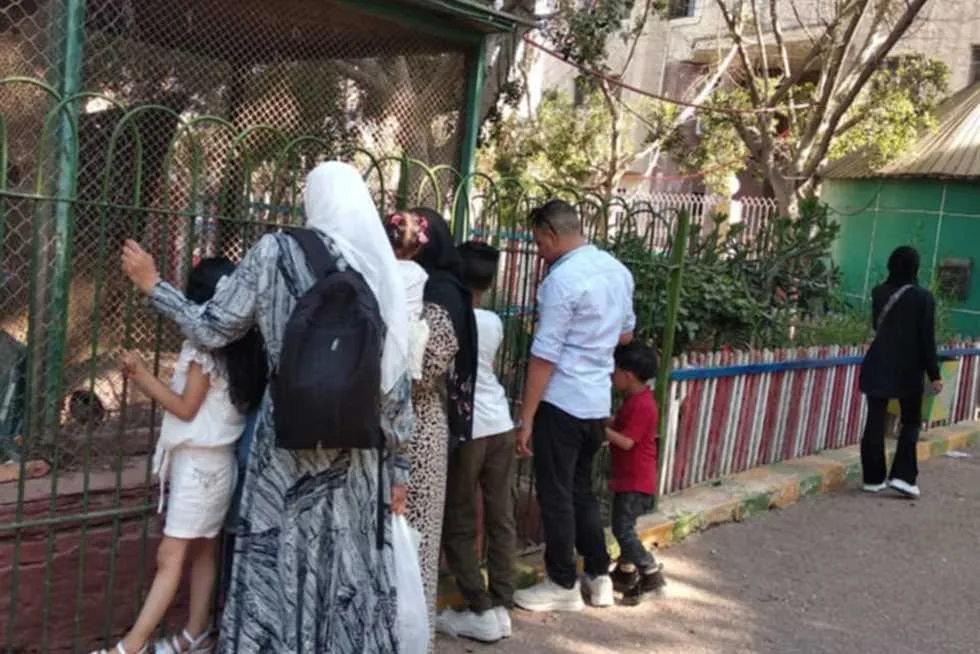 حديقة حيوان الزقازيق ترحب بـ 2000 زائر في اليوم الثالث من عيد الأضحى (صور) حديقة حيوان الزقازيق ترحب بـ 2000 زائر في اليوم الثالث من عيد الأضحى (صور)