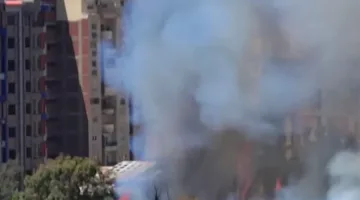 حريق يشتعل في غابات بيانكي غرب الإسكندرية – صور