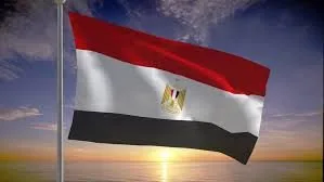 حزب التجمع يعلن دعمه للاعتراض المصري على ما يسمى بـ “قافلة الصمود” حزب التجمع يعلن دعمه للاعتراض المصري على ما يسمى بـ “قافلة الصمود”