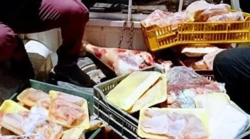 حملات العيد في أسيوط تكشف عن لحوم فاسدة وأضاحي مذبوحة خارج المجازر وتسجيل مئات المخالفات