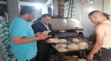 حملات تموينية واسعة في الإسكندرية خلال أول أيام عيد الأضحى (صور)