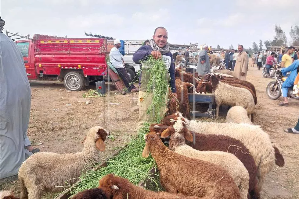 خبير في الغذاء يكشف عن الأخطاء الشائعة التي يرتكبها البعض أثناء ذبح الأضاحي (اكتشفها) خبير في الغذاء يكشف عن الأخطاء الشائعة التي يرتكبها البعض أثناء ذبح الأضاحي (اكتشفها)