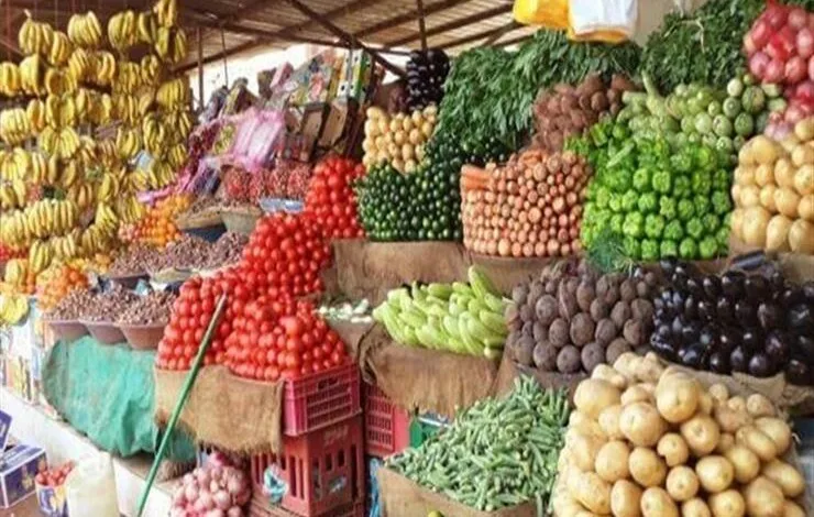 الخضروات المخمرة: مصدر غني للبكتيريا المفيدة الخضروات المخمرة: مصدر غني للبكتيريا المفيدة