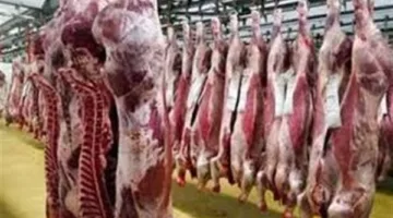 خلال عيد الأضحى: مواقع وعناوين مجازر الجيزة لتقديم خدمة ذبح الأضاحي مجانًا