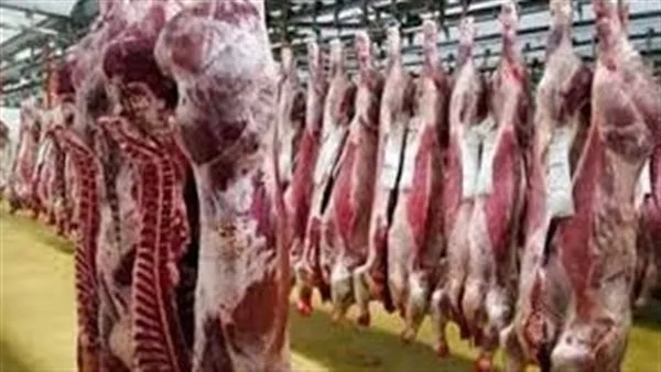 خلال عيد الأضحى: مواقع وعناوين مجازر الجيزة لتقديم خدمة ذبح الأضاحي مجانًا خلال عيد الأضحى: مواقع وعناوين مجازر الجيزة لتقديم خدمة ذبح الأضاحي مجانًا
