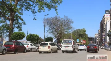 درجات الحرارة تتجاوز 40 درجة.. ما توقعات حالة الطقس ليوم السبت 14 يونيو 2025؟