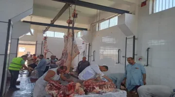 ذبح مجاني: المنيا تستعد بإنشاء 39 مسلخًا لعيد الأضحى