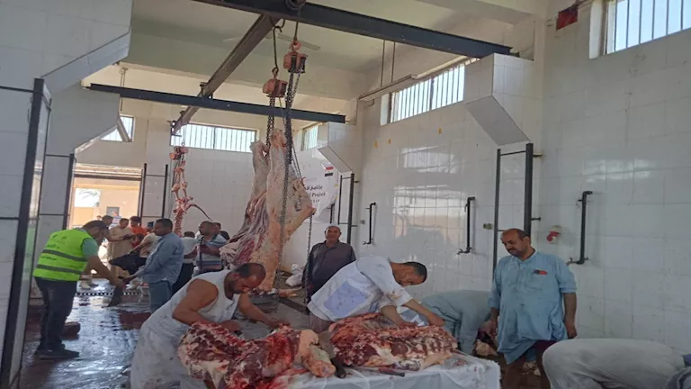 ذبح مجاني: المنيا تستعد بإنشاء 39 مسلخًا لعيد الأضحى ذبح مجاني: المنيا تستعد بإنشاء 39 مسلخًا لعيد الأضحى
