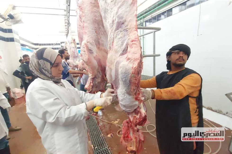“ذبح مجاني” … سير العمل في مسالخ البحر الأحمر خلال أول أيام عيد الأضحى