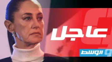 رئيسة المكسيك تدعو الولايات المتحدة إلى عدم اعتبار المهاجرين «مجرمين»