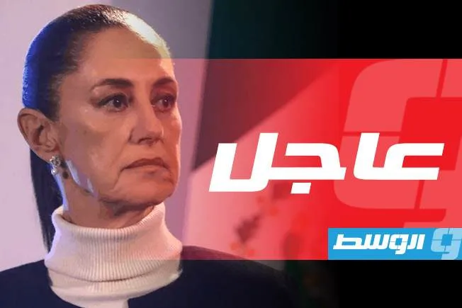 رئيسة المكسيك تدعو الولايات المتحدة إلى عدم اعتبار المهاجرين «مجرمين» رئيسة المكسيك تدعو الولايات المتحدة إلى عدم اعتبار المهاجرين «مجرمين»