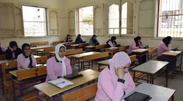 رابط البوابة الإلكترونية لنتائج النقل الترم الثاني 2025 في محافظة القاهرة باستخدام رقم الجلوس