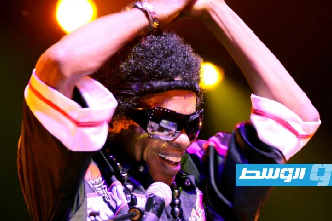 رحيل سلاي ستون، رائد موسيقى الفانك، عن عمر يناهز 82 عامًا رحيل سلاي ستون، رائد موسيقى الفانك، عن عمر يناهز 82 عامًا