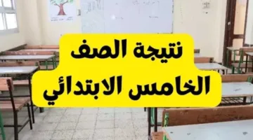 رسميًا.. نتائج الصف الخامس للفصل الدراسي الثاني 2025 في المنيا