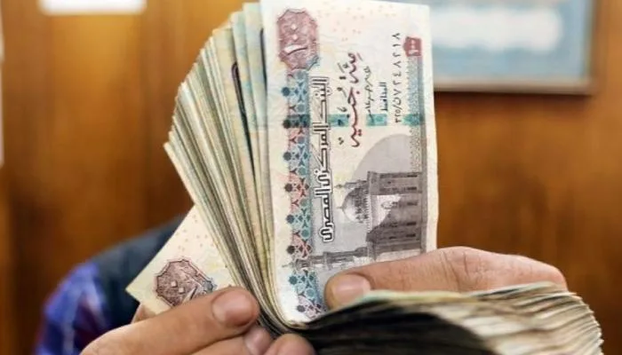 رفع رواتب أعضاء هيئة التدريس في مصر 2025: التفاصيل وتاريخ التنفيذ