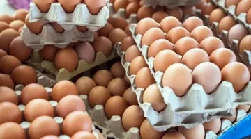 زيادة أسعار البيض في الأسواق اليوم 4-6-2025