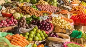 زيادة أسعار الخيار: أسعار الخضروات والفواكه في سوق العبور اليوم