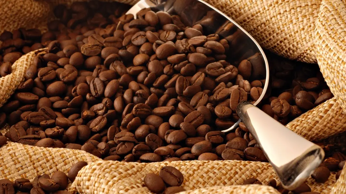 زيادة أسعار عقود البن العربي بسبب مخاوف من نقص الإمدادات وتأثيرات الطقس في البرازيل وكولومبيا. زيادة أسعار عقود البن العربي بسبب مخاوف من نقص الإمدادات وتأثيرات الطقس في البرازيل وكولومبيا.