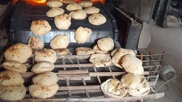 زيادة الجهود الرقابية على الأسواق والمخابز ونقاط بيع السلع التموينية زيادة الجهود الرقابية على الأسواق والمخابز ونقاط بيع السلع التموينية