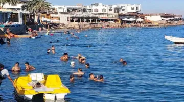 زيادة الحركة السياحية في مدن جنوب سيناء خلال اليوم الثاني من عيد الأضحى (صور)