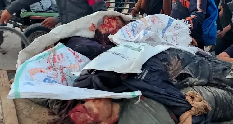 زيادة عدد شهداء المساعدات إلى 300 زيادة عدد شهداء المساعدات إلى 300